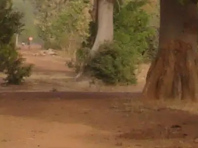 Immage_Primaire 3.jpg